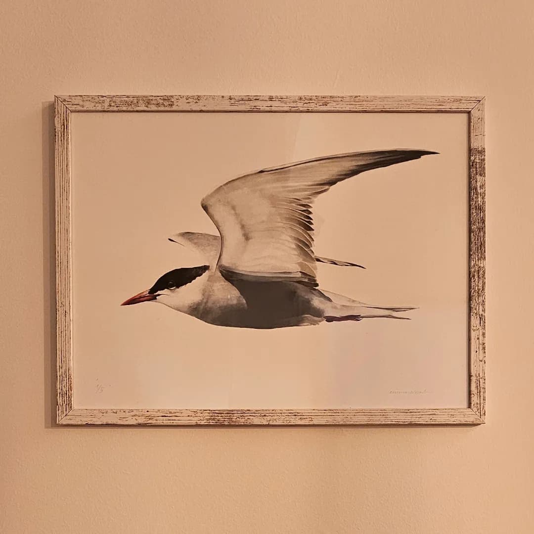 Obra Emma Reixach Quadrada 2