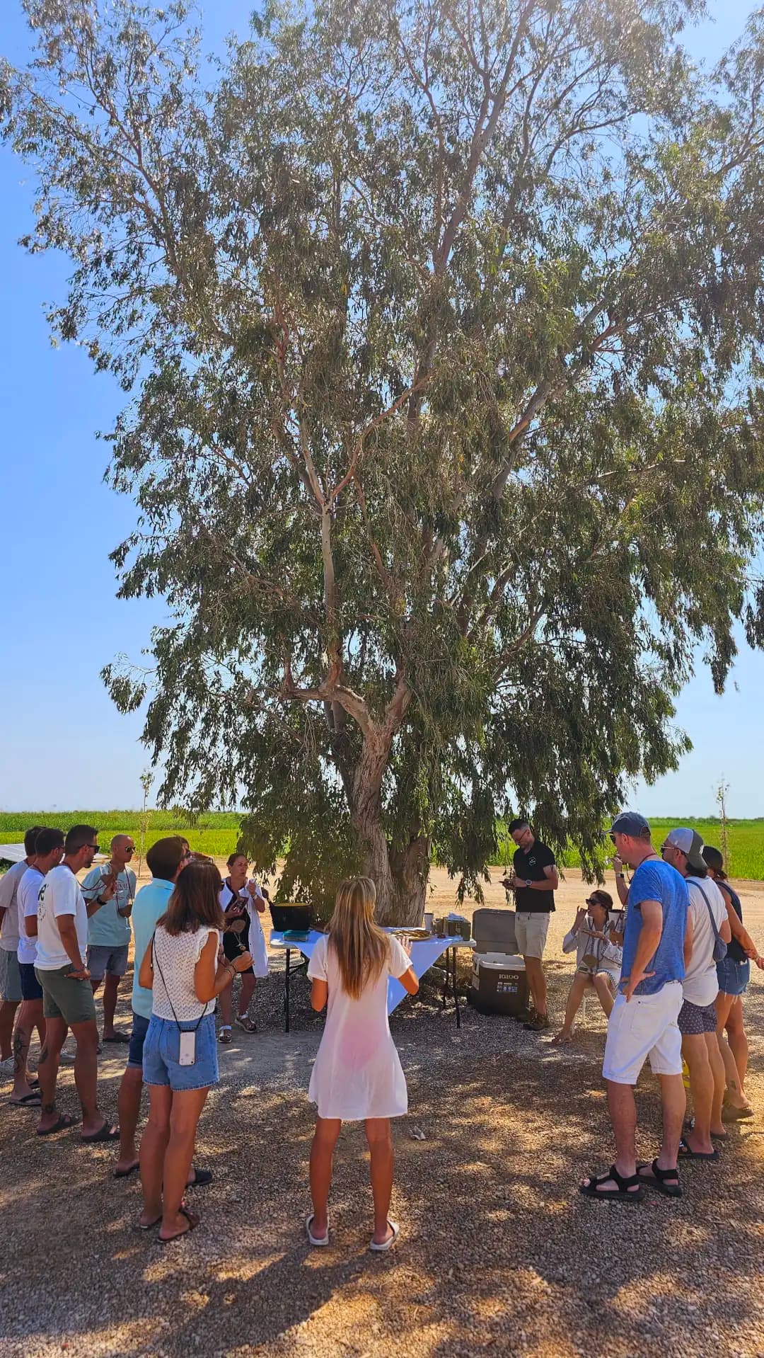 Celebracions Masos Bruguera 3