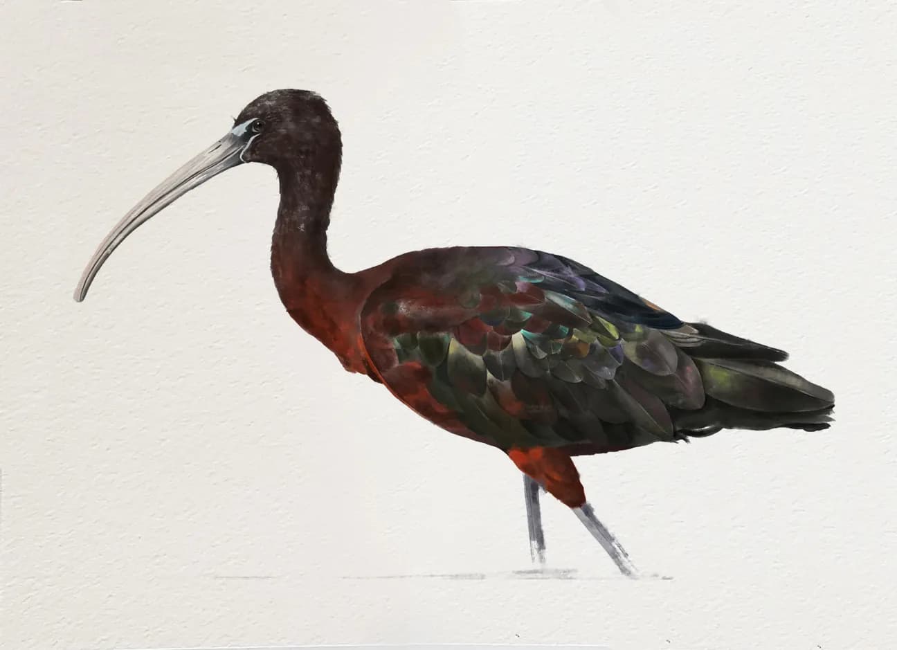 Obra Emma Reixach Horizontal 1