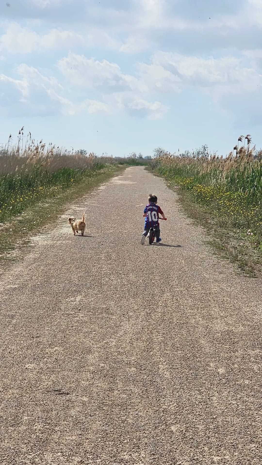 Masos Bruguera entorn 8