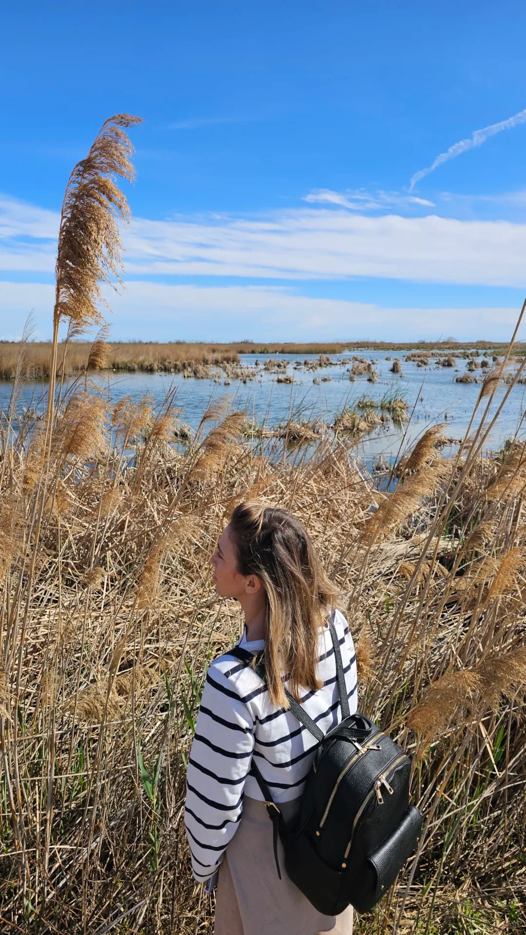 Masos Bruguera entorn 3