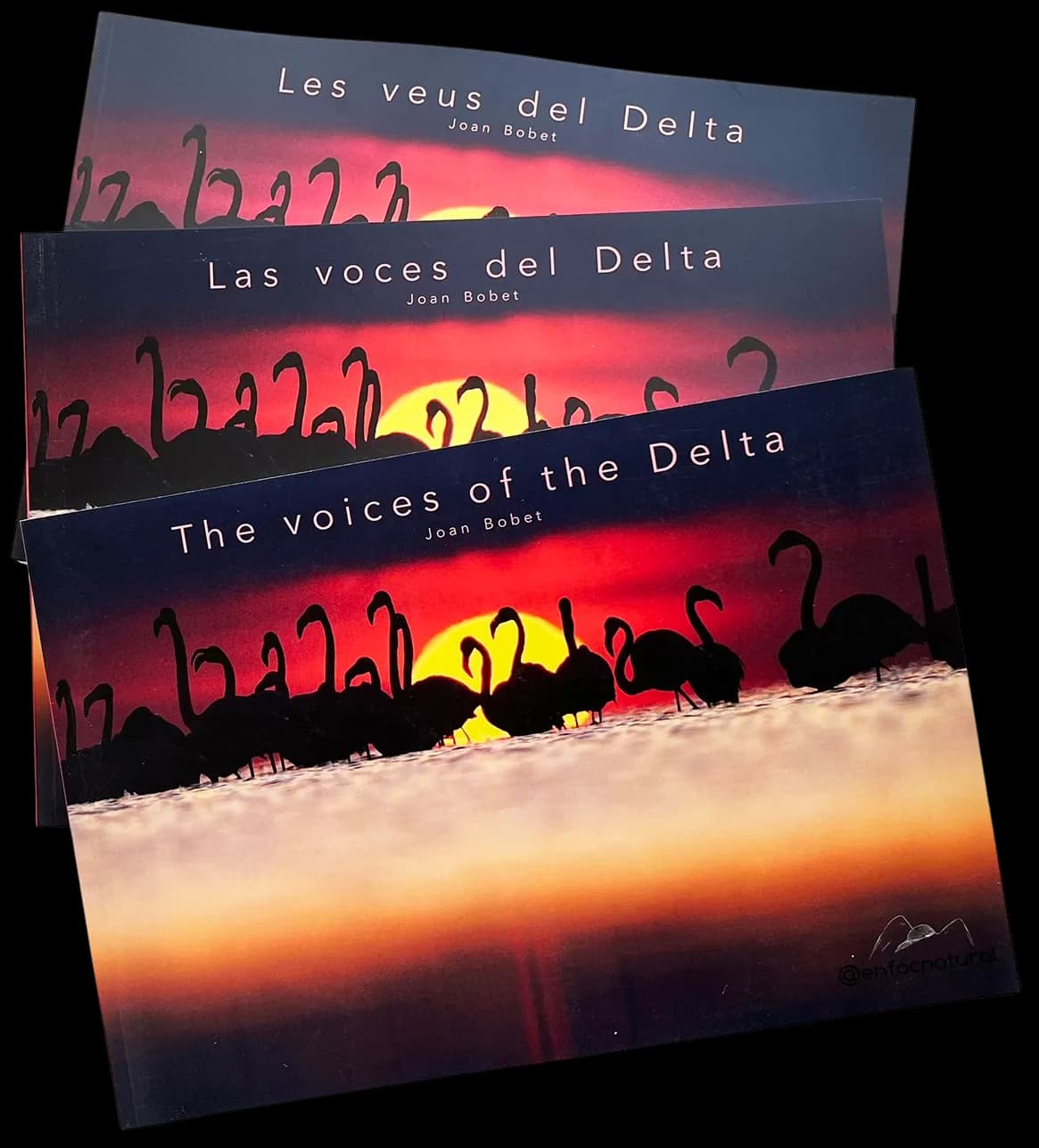 Les Veus del Delta