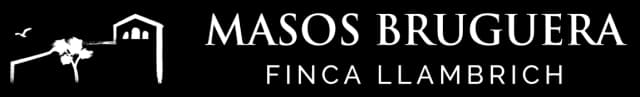 Masos Bruguera Logo