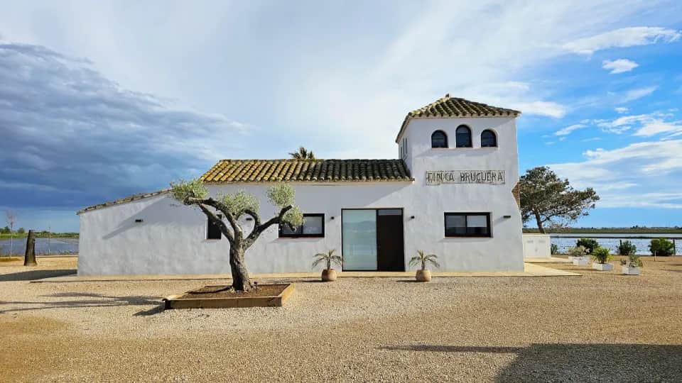 Fons immersiu Informació